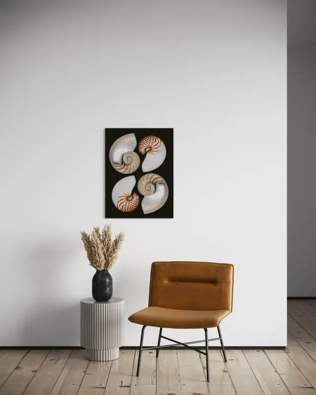 Four Nautilus Halves Coastal Glass Print by Echoes of the Sea-coastal wall decor sitting area