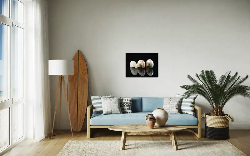 Three nautilus shells with spiral patterns on black reflective background, Echoes of the Sea glass art-living room