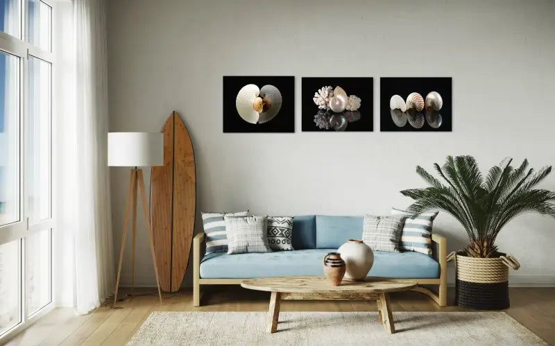 White and brown paper nautiluses forming a heart reflection on black glass, coastal seashell glass print-wall gallery