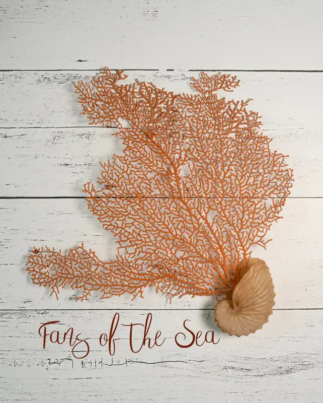 Sea fan and nautilus on white shiplap, Echoes of the Sea glass art, coastal decor