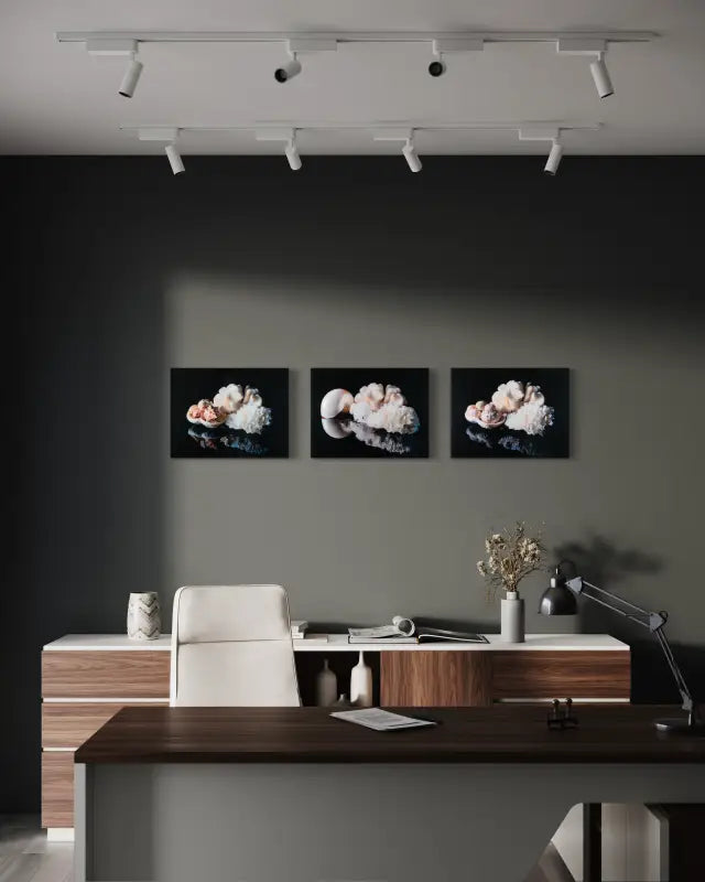 Glass print of white coral and sea urchins on black background-office gallery wall.