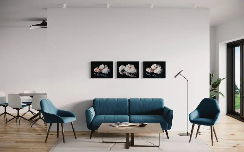 Glass print of white coral and sea urchins on black background-living room gallery