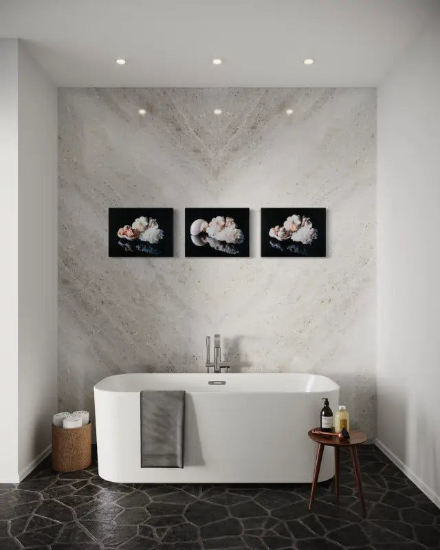Glass print of white coral and sea urchins on black background-bathroom wall with 2 other Echoes prints.
