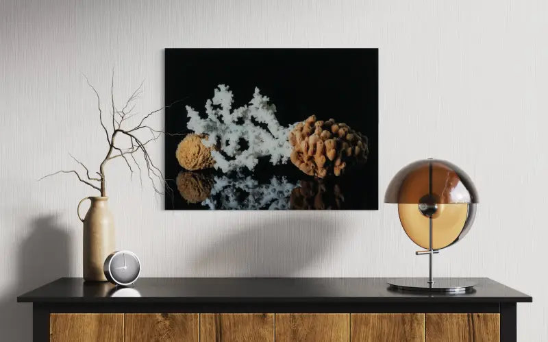 Luxury glass print of octopus coral and sea sponges, coastal marine wall art, eco-friendly, coastal wall decor