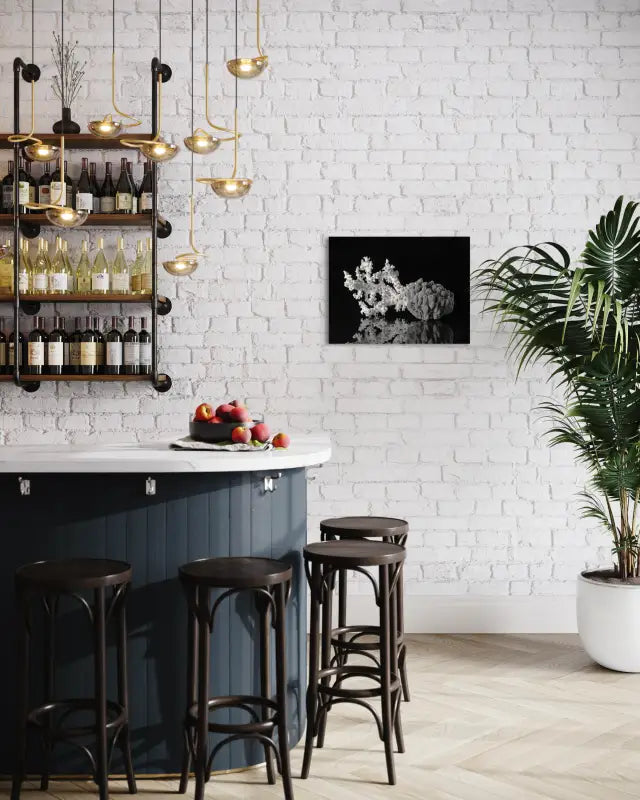 Black & White Glass print of octopus coral and sea sponge on black background displayed by a bar.