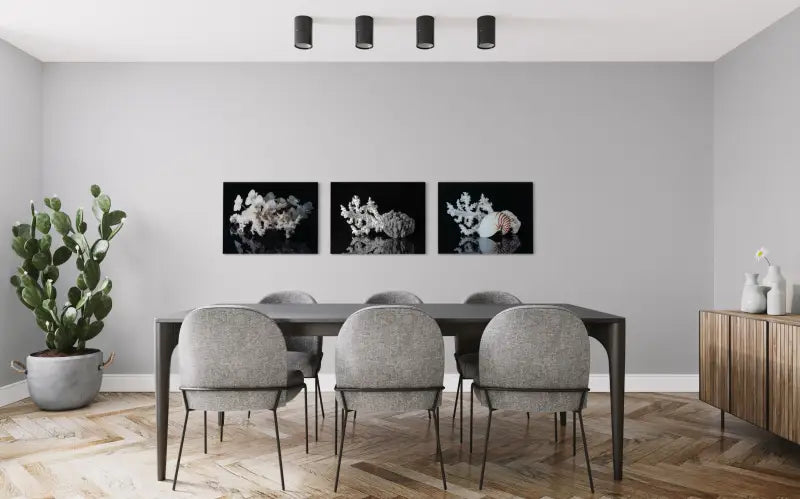 Black & White Glass print of octopus coral and sea sponge displayed in dining room with 2 other Echoes prints.