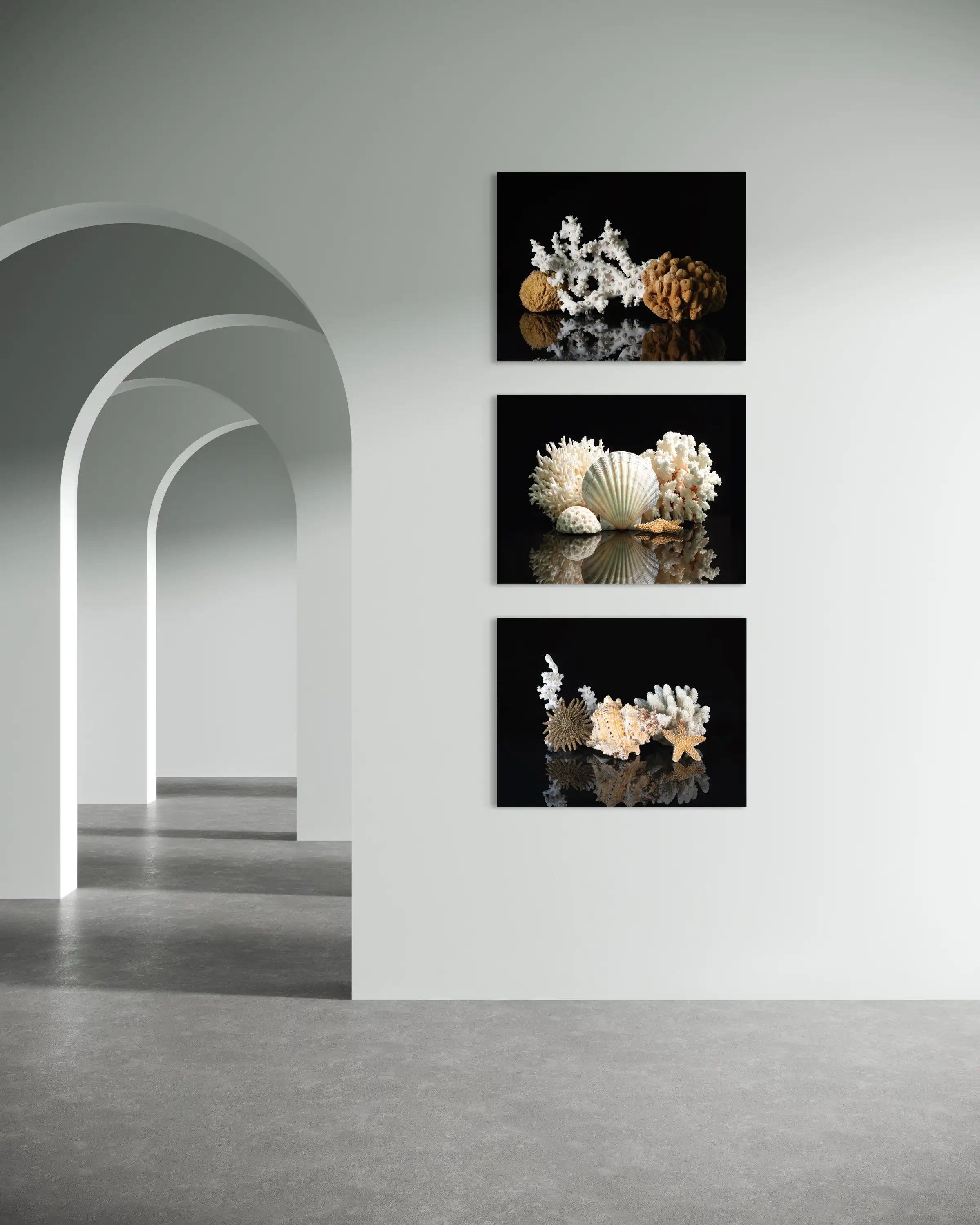 Octopus coral and sea sponge on vibrant coastal glass print with 2 other Echoes prints