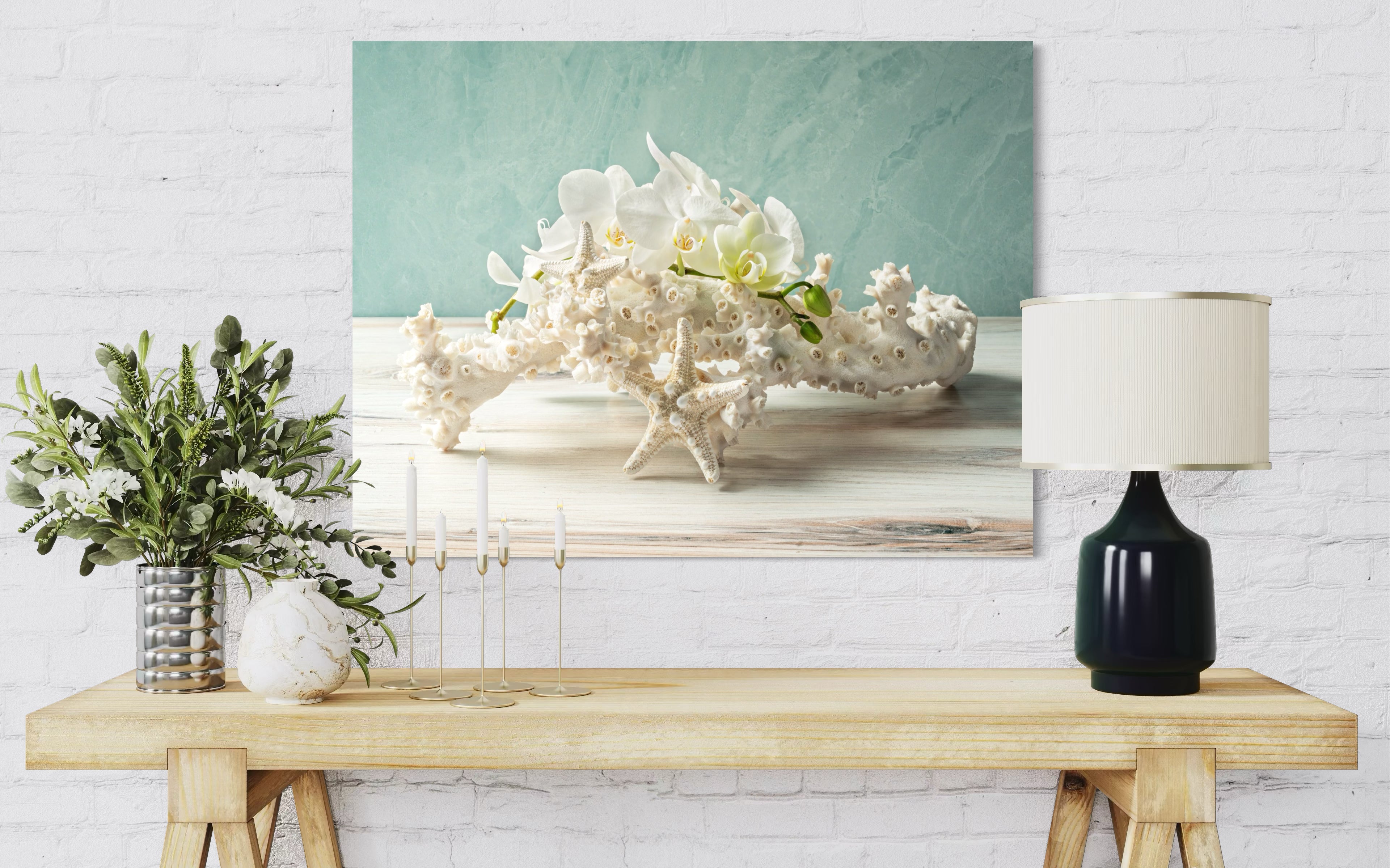 Octopus Coral & White Knobby Sea Star Glass Print - Ocean Art - Shell Prints