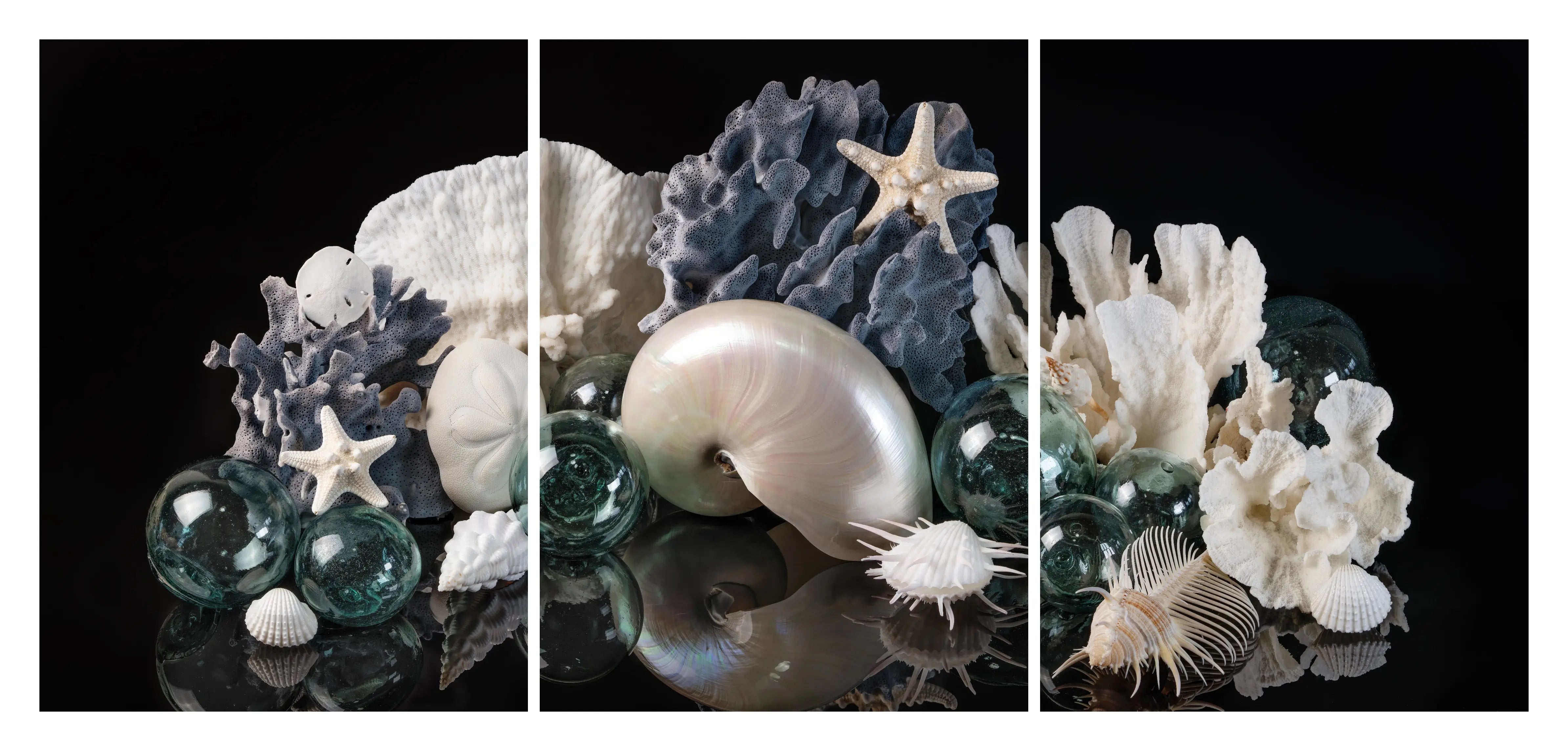 Coastal triptych glass wall art featuring a pearl nautilus, coral, starfish, sand dollars, and antique Japanese glass floats on a black reflective background.