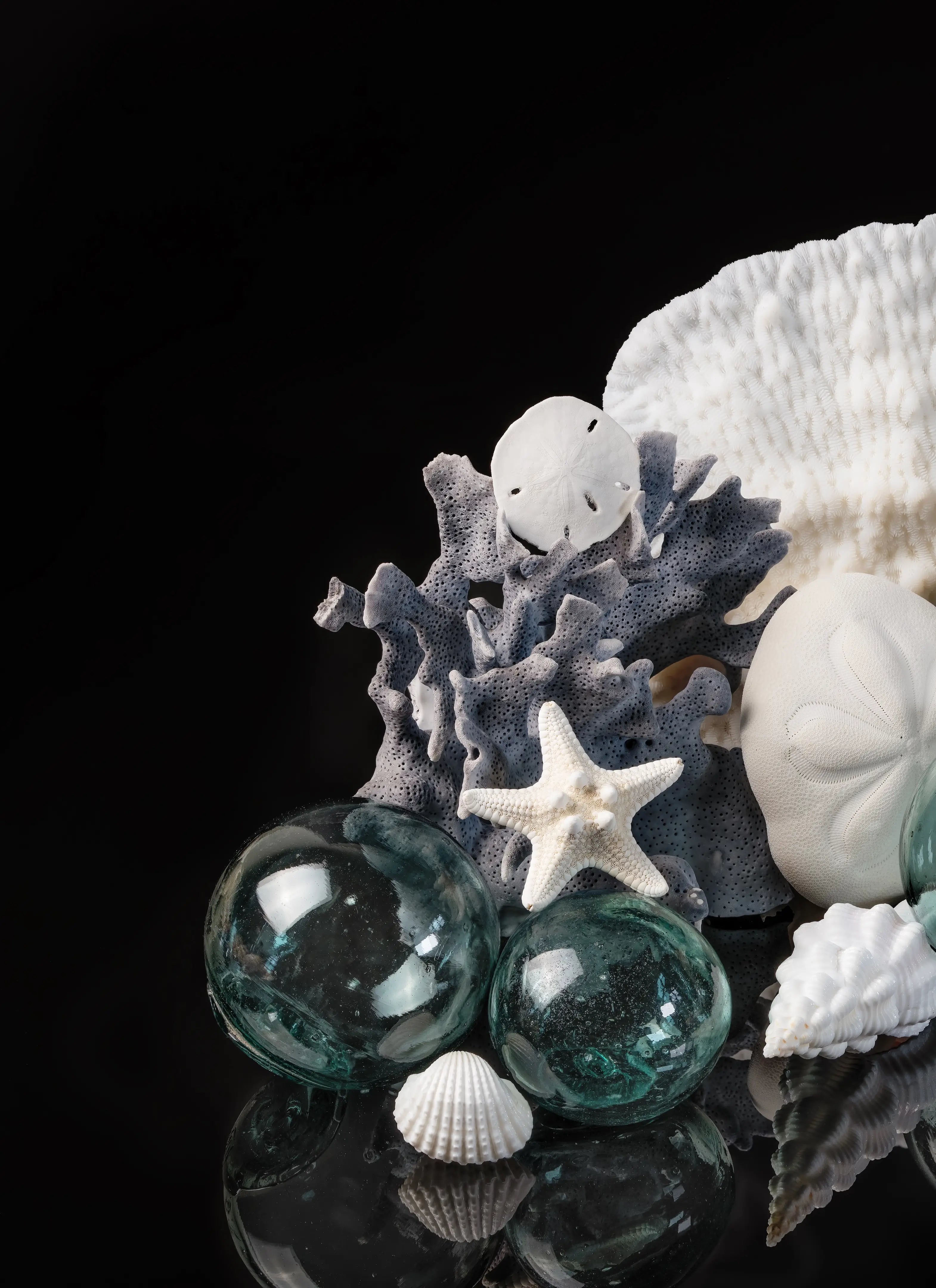 Left panel of a coastal triptych featuring gray coral, a sand dollar, a white starfish, and Japanese glass floats against a black background.