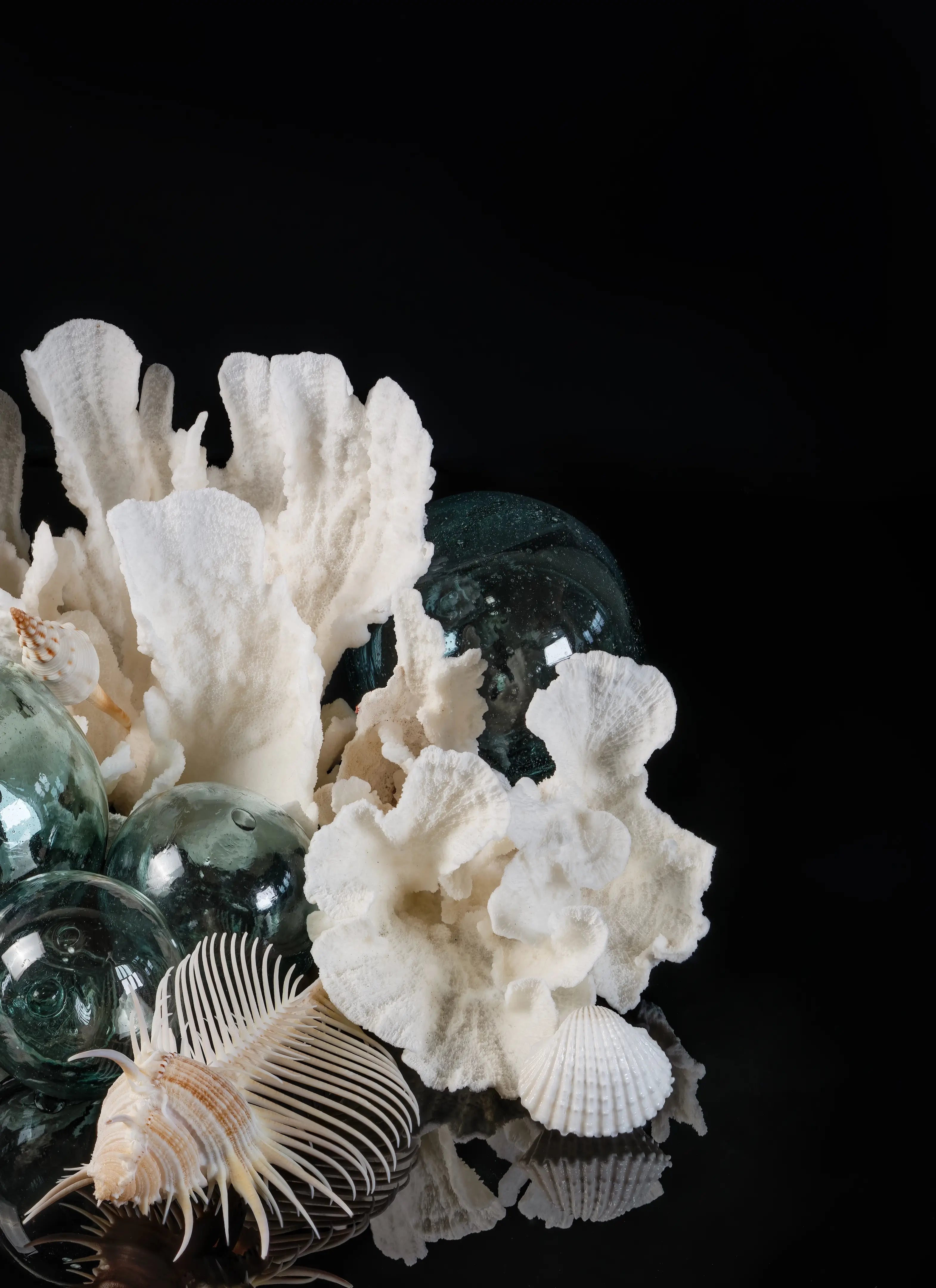 Right panel of a coastal triptych featuring white coral, Japanese glass floats, a murex pecten shell, and seashells against a black background.