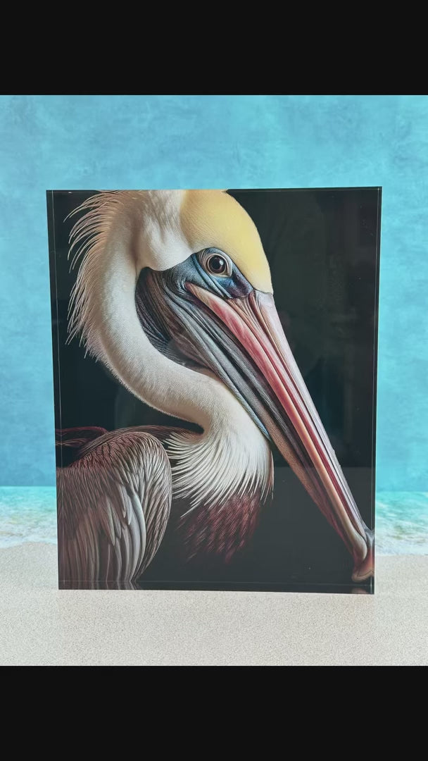 Echoes of the Sea Coastal brown pelican acrylic block print_video