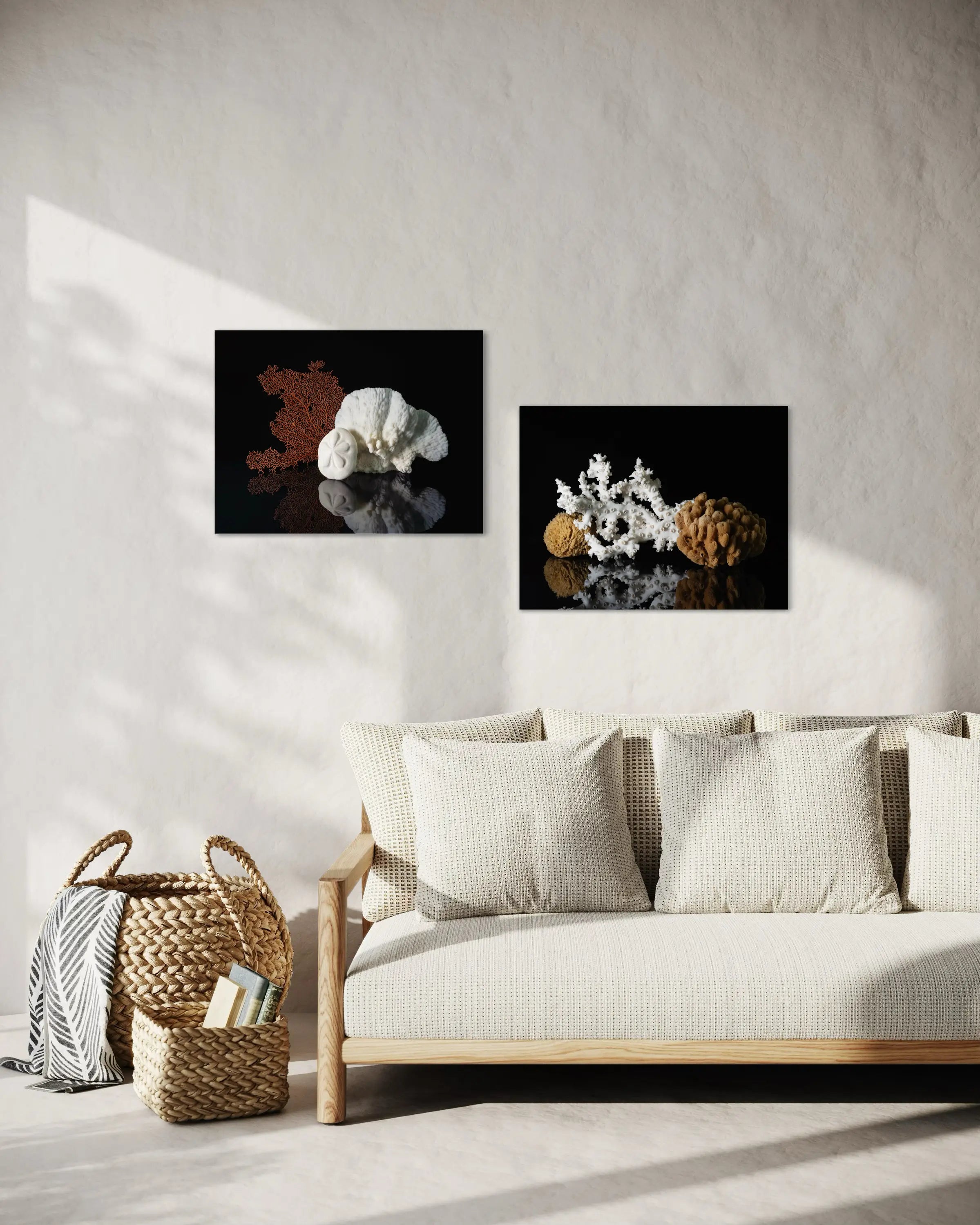 Sand dollar, cactus coral, sea fan on black coastal glass print, coastal wall art displayed with another print