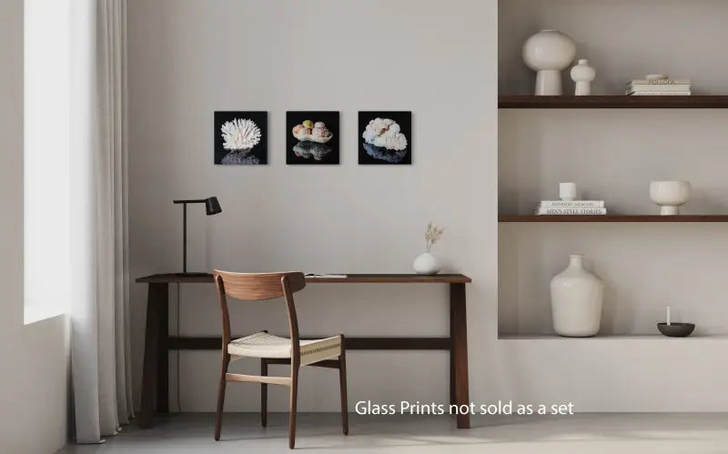 Sand Dollars and Coral on black glass, coastal wall art -pictured with two other glass prints.