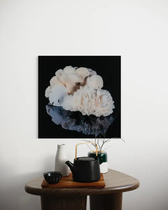 Sand Dollars and Coral on black glass, coastal wall art -modern decor