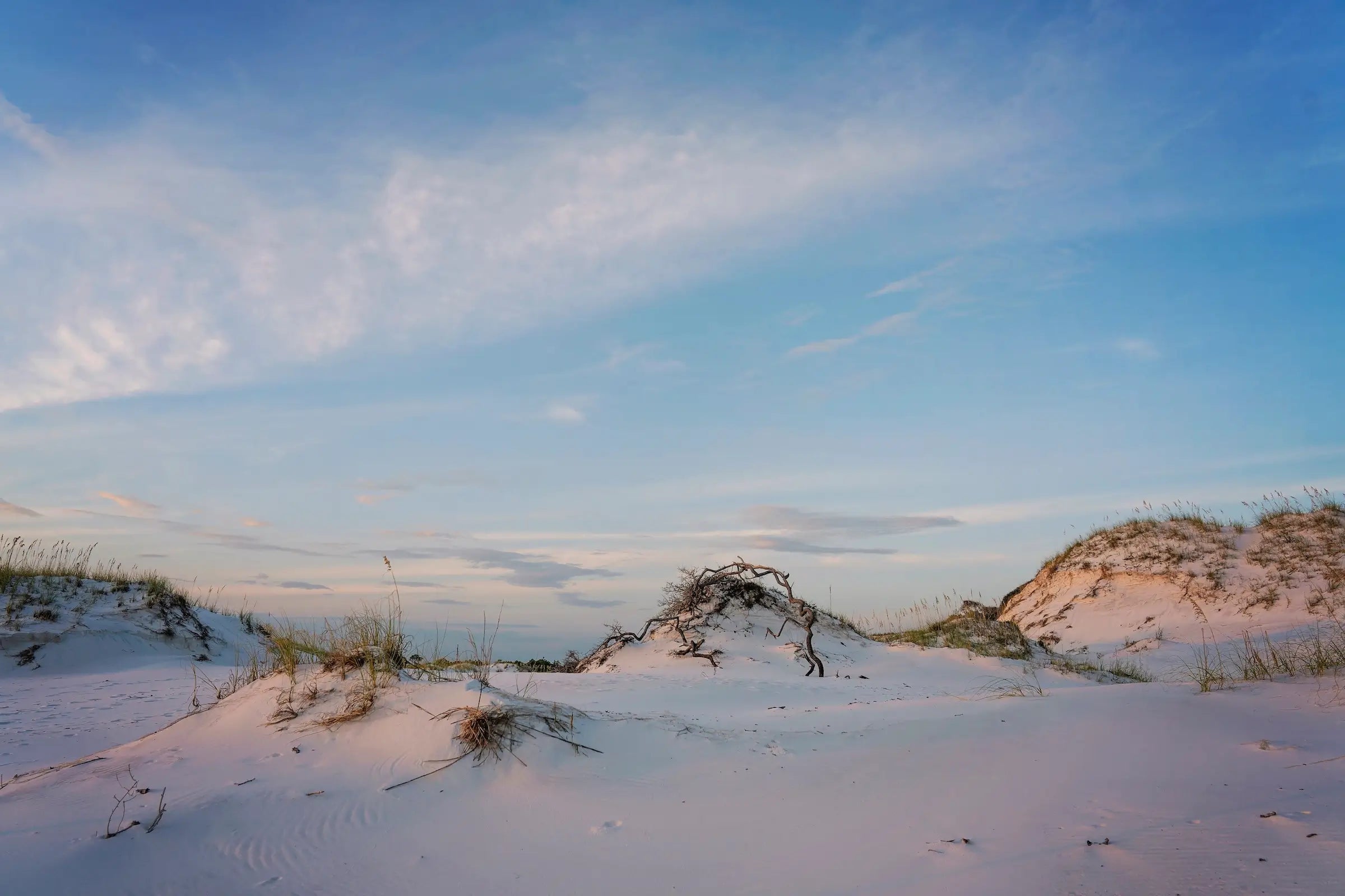Sandy dunes and sea oats on reflective glass, coastal art