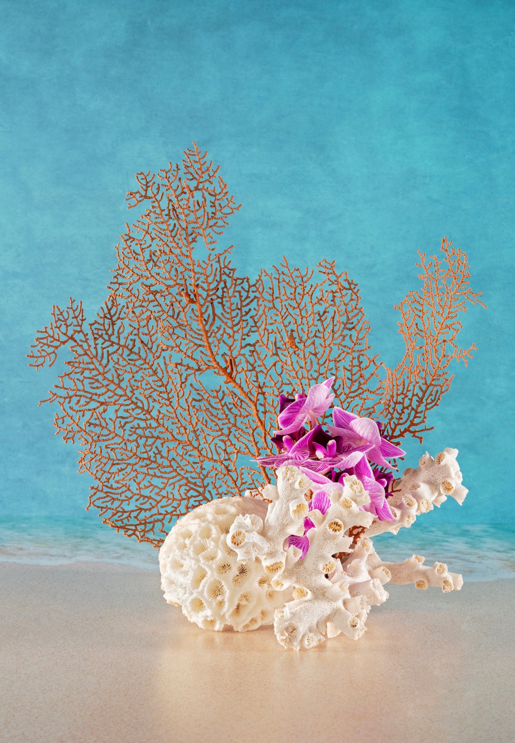 Sea Fan & Honeycomb Coral Glass Print with Orchids - Tropical Art
