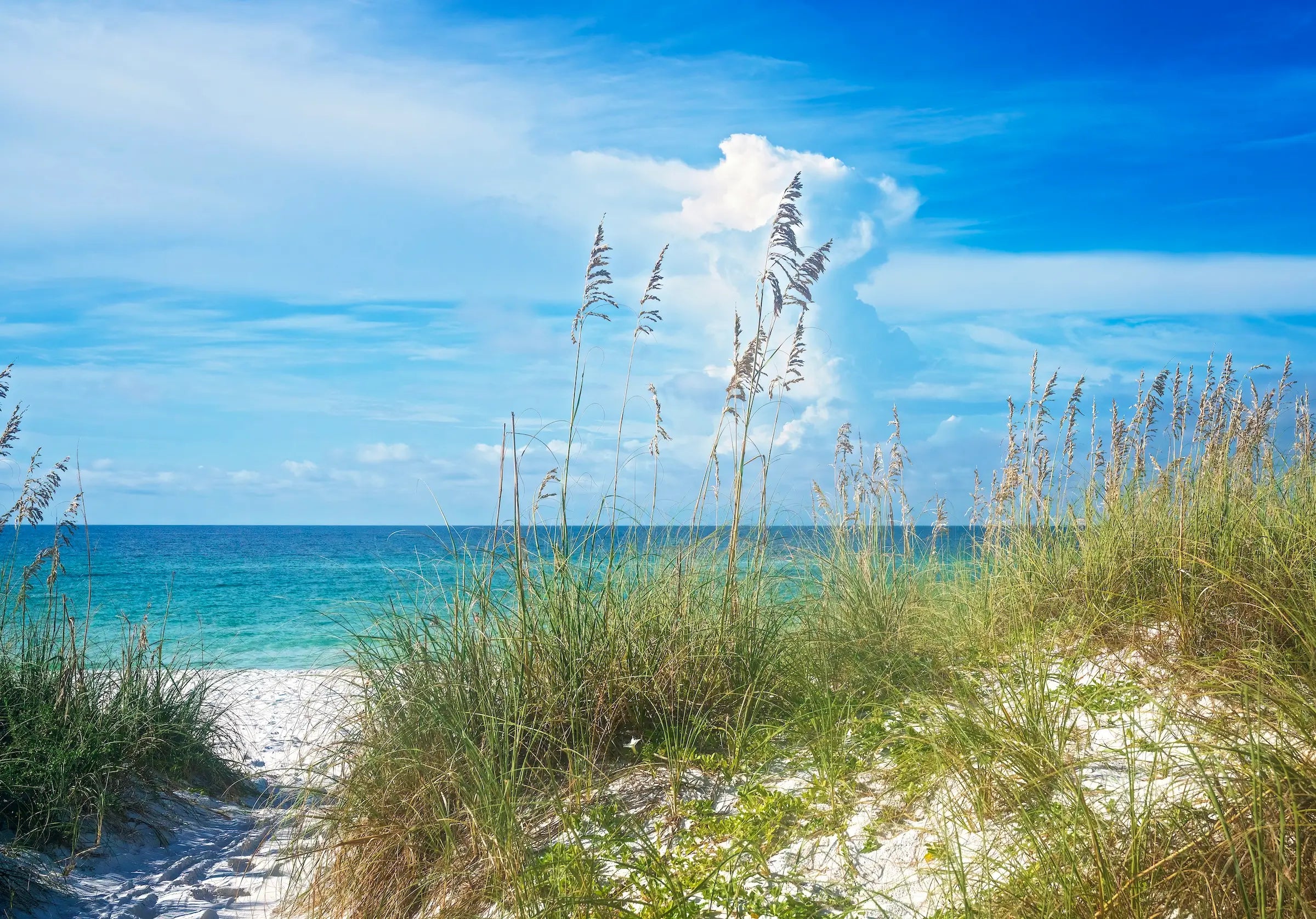 Sea oats and beach on glass, Echoes of the Sea coastal art