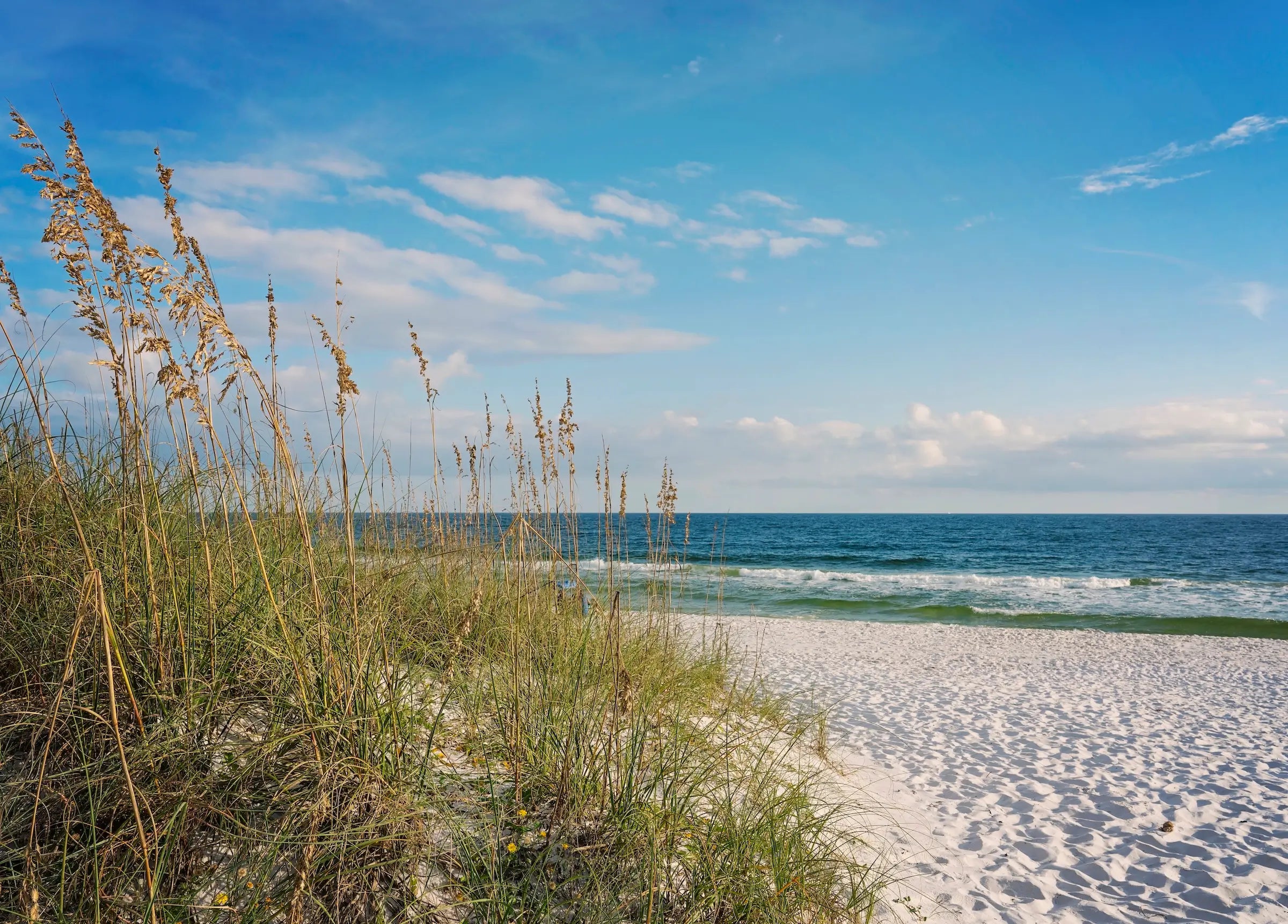 Sea oats on beach with turquoise waves, Echoes of the Sea coastal glass art