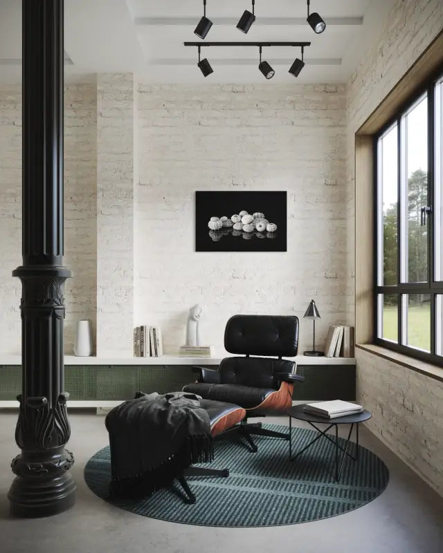 Coastal glass print black and white sea urchins on reflective black background, for coastal living room wall decor.