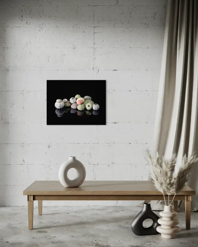 Colorful Sea urchins on black reflective glass background-coastal wall art