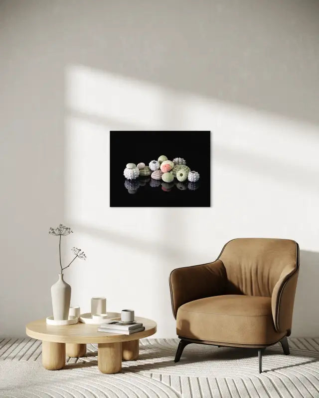 Colorful Sea urchins on black reflective glass background-coastal wall art, sitting area.