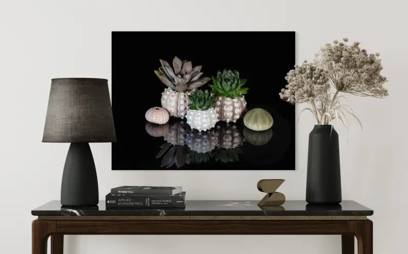 Succulents and urchins on black reflective glass, Echoes oceanic art for modern home decor.