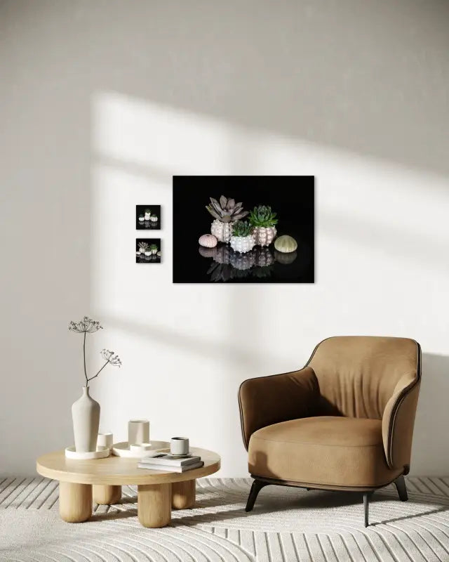 Sea urchins with succulents on black coastal glass print, Echoes of the Sea art- wall gallery