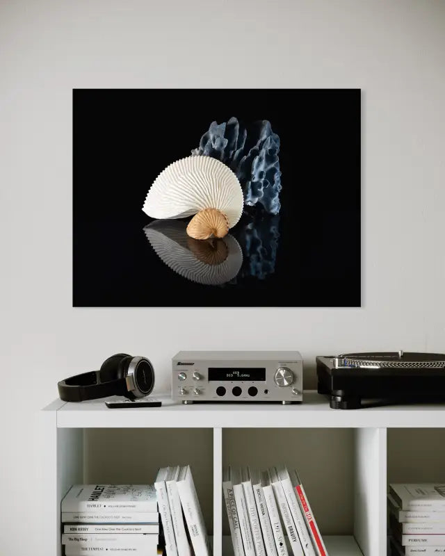 Nautilus and blue coral on reflective black background coastal glass art print