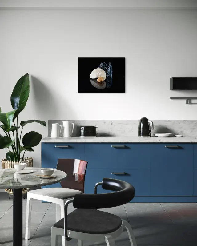 Nautilus and blue coral on reflective black background coastal glass art print