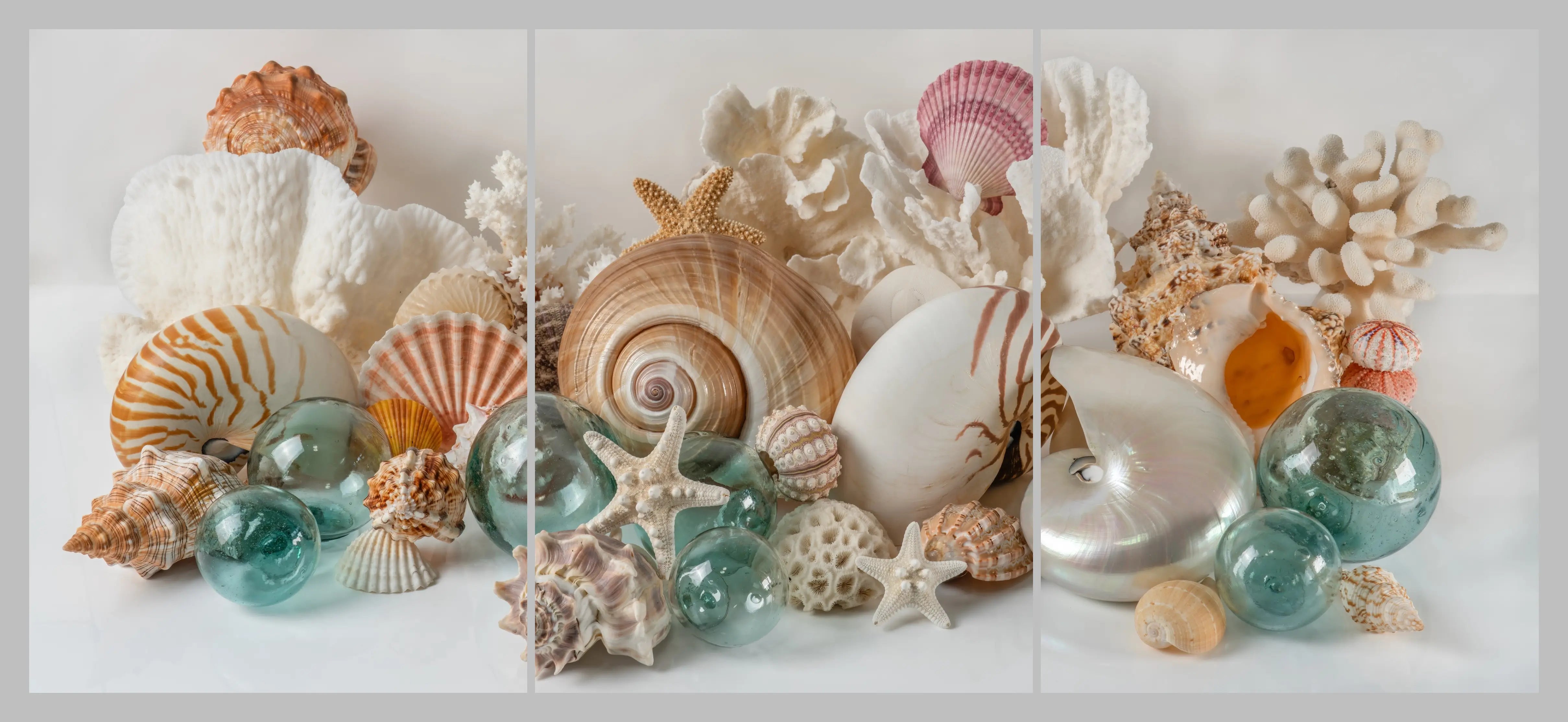Seashell triptych glass wall art featuring nautilus shells, coral, starfish, sea urchins, and antique Japanese glass floats across three light coastal panels.