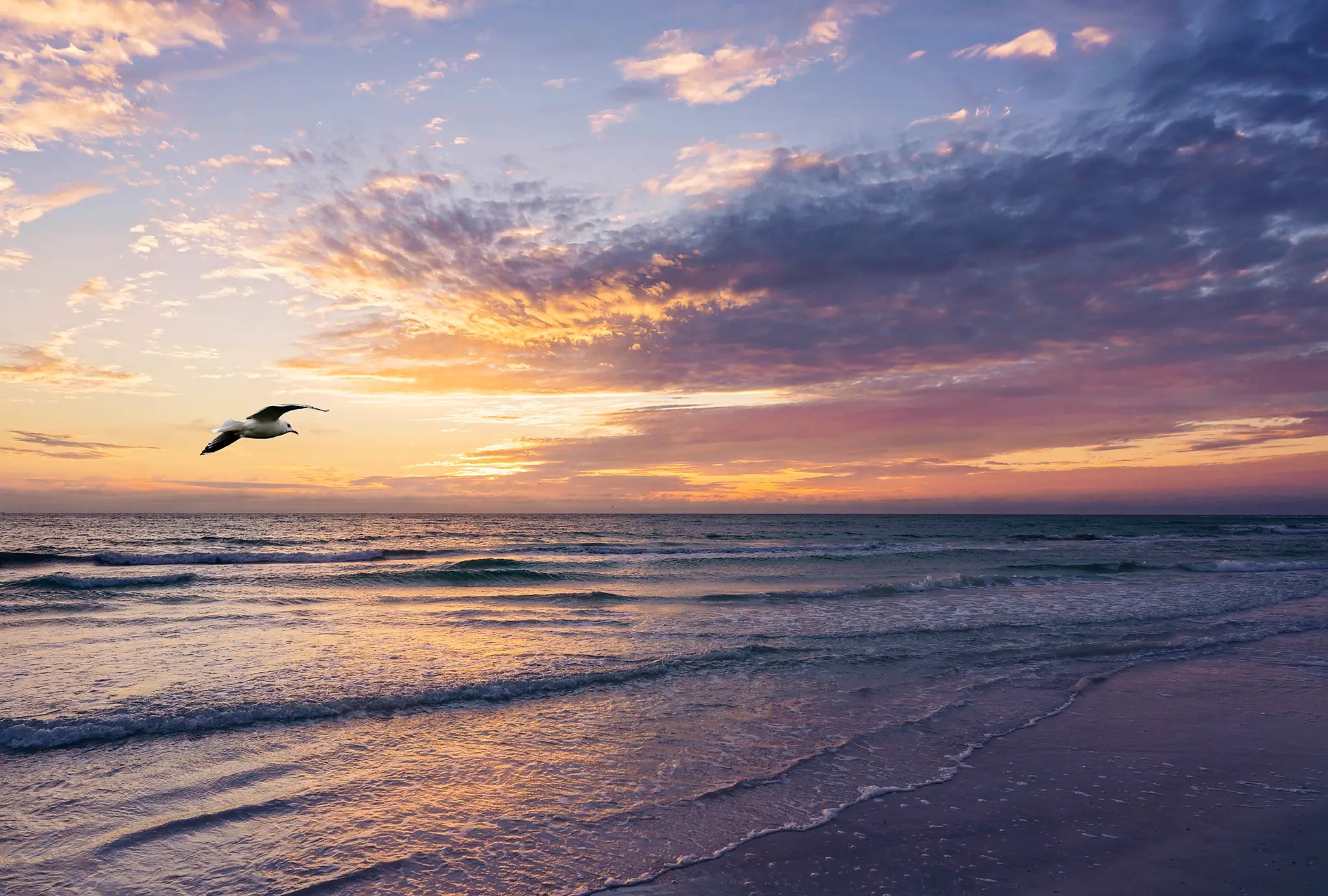 Siesta Beach sunset with waves and bird, coastal glass art