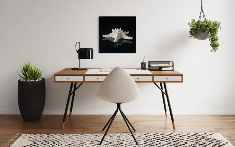 Knobby starfish on black glass, Echoes of the Sea coastal art - office decor