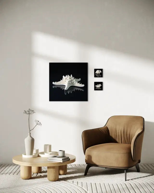 White starfish on black, Echoes of the Sea glass art shown with matching Echoes prints.