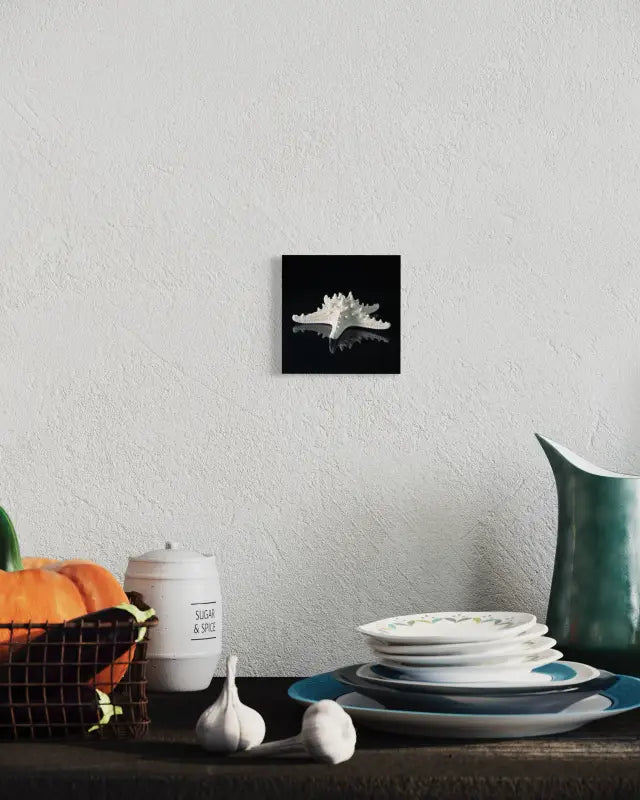 White starfish on black, Echoes of the Sea glass art  for home wall  or shelf decor.