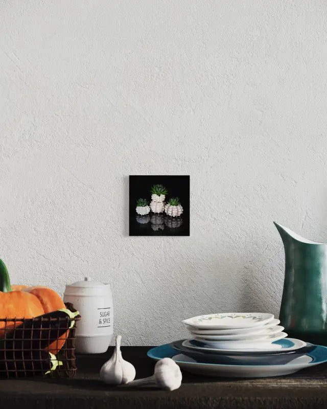 Succulents and sea urchins on reflective black glass, Echoes of the Sea coastal glass print-above a sideboard