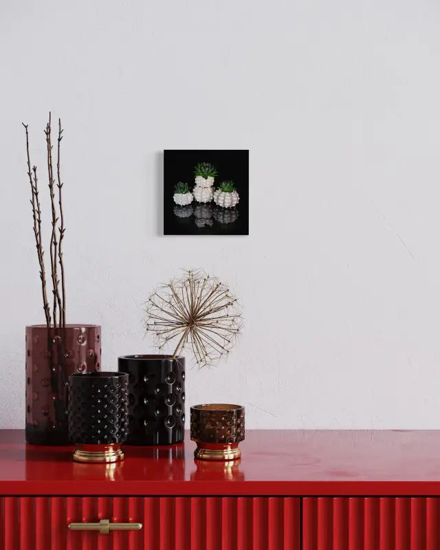 Succulents and sea urchins on reflective black glass, Echoes of the Sea coastal glass print-detail for wall