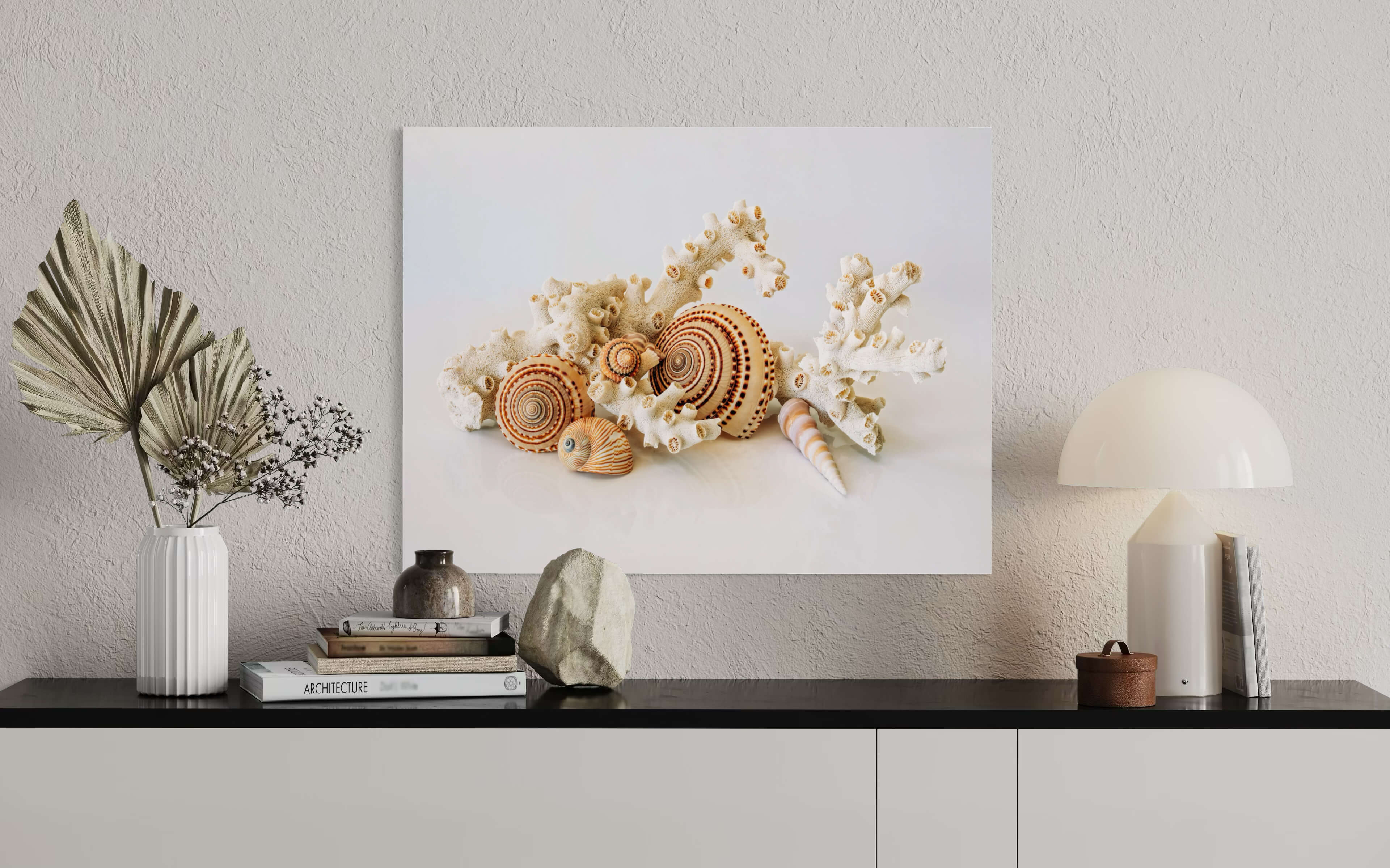 Sundial Shells & Octopus Coral Glass Print - Office wall decor