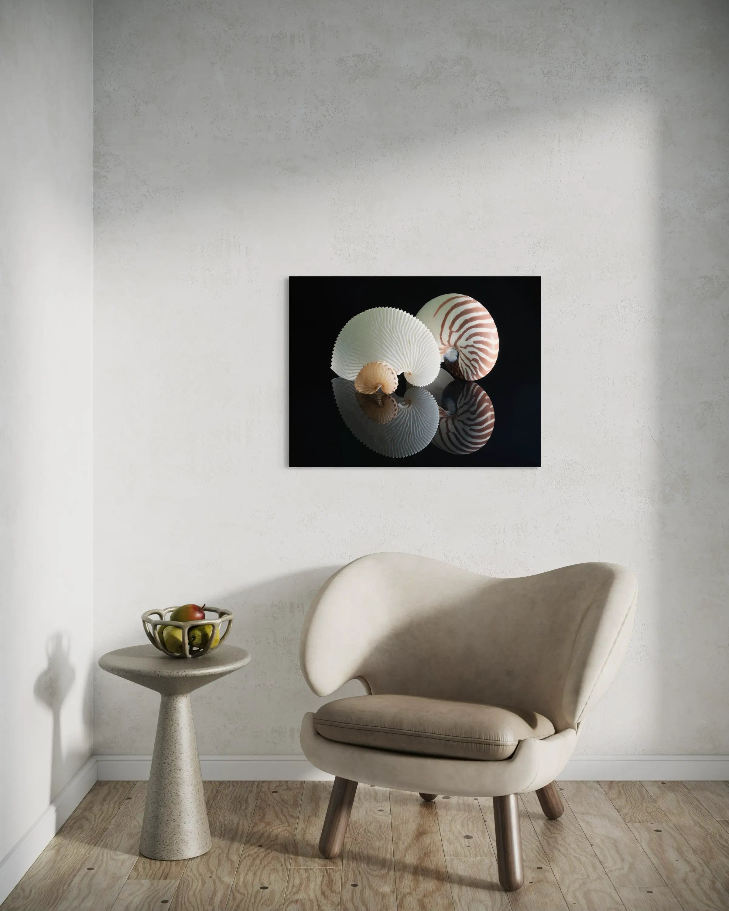 Three nautilus shells with unique patterns on a reflective black glass surface, sitting area