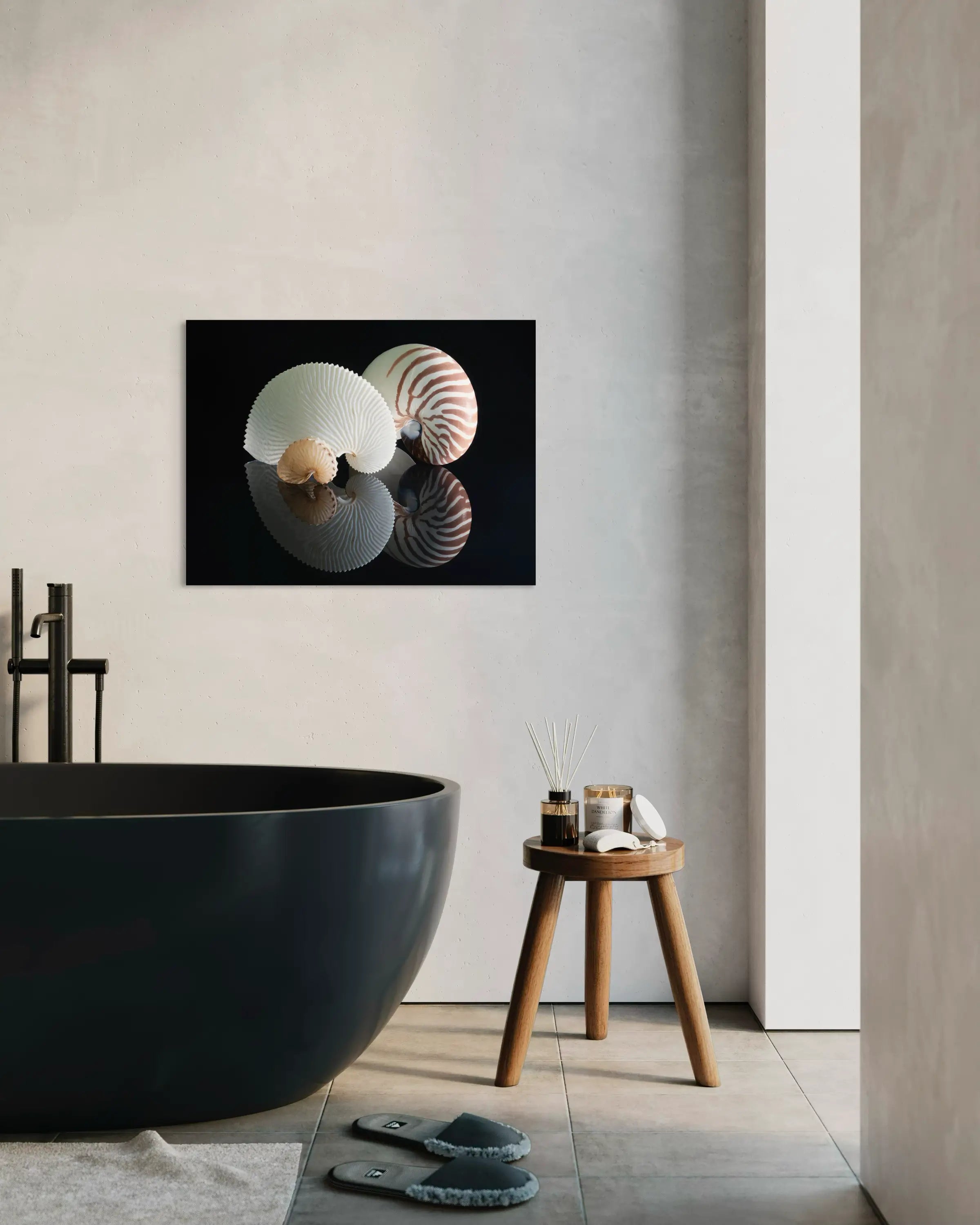 Three nautilus shells with unique patterns on a reflective black glass surface, bathroom decor