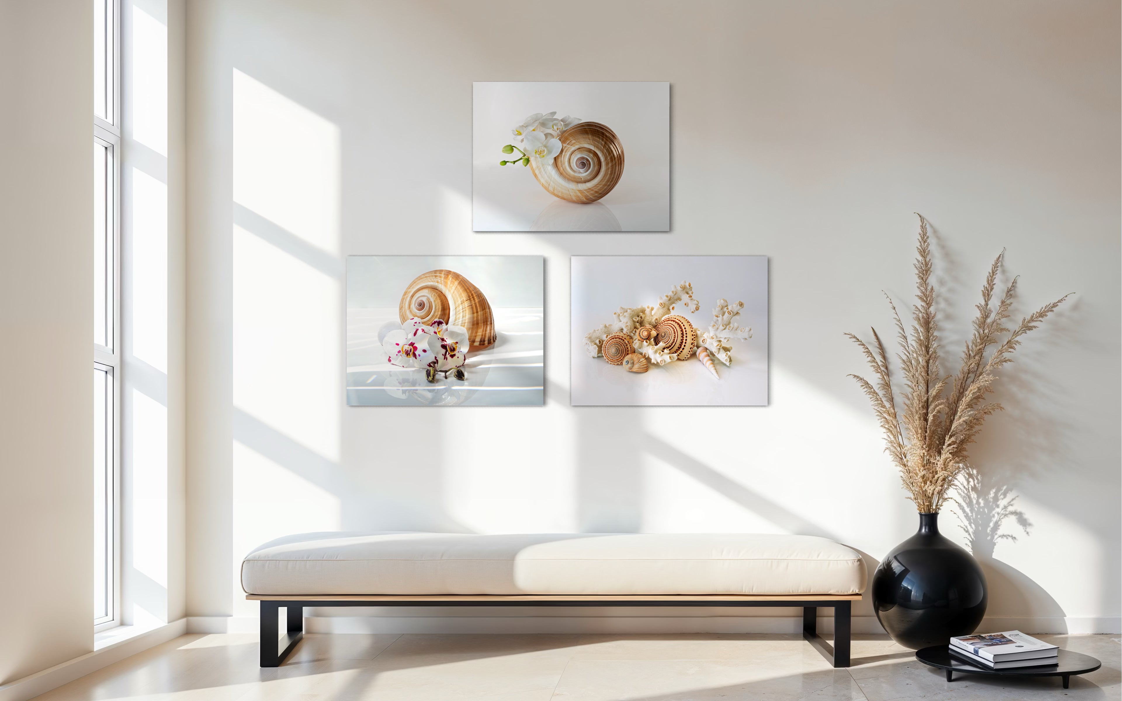 Tonna Galea Giant Tun shell and spotted orchids coastal glass print by Echoes of the Sea, with 2 other prints