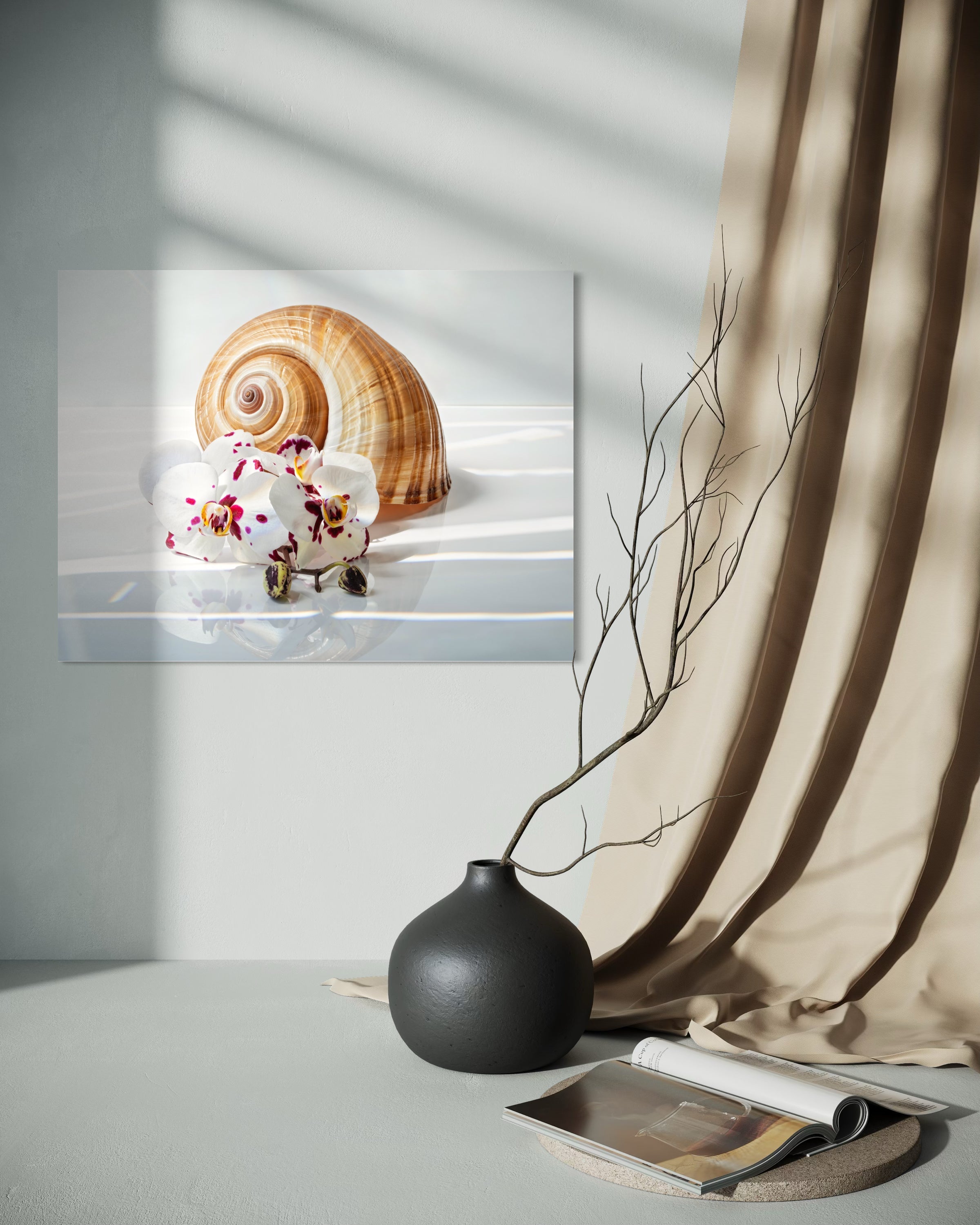 Tonna Galea Giant Tun shell and spotted orchids coastal glass print by Echoes of the Sea, modern coastal decor