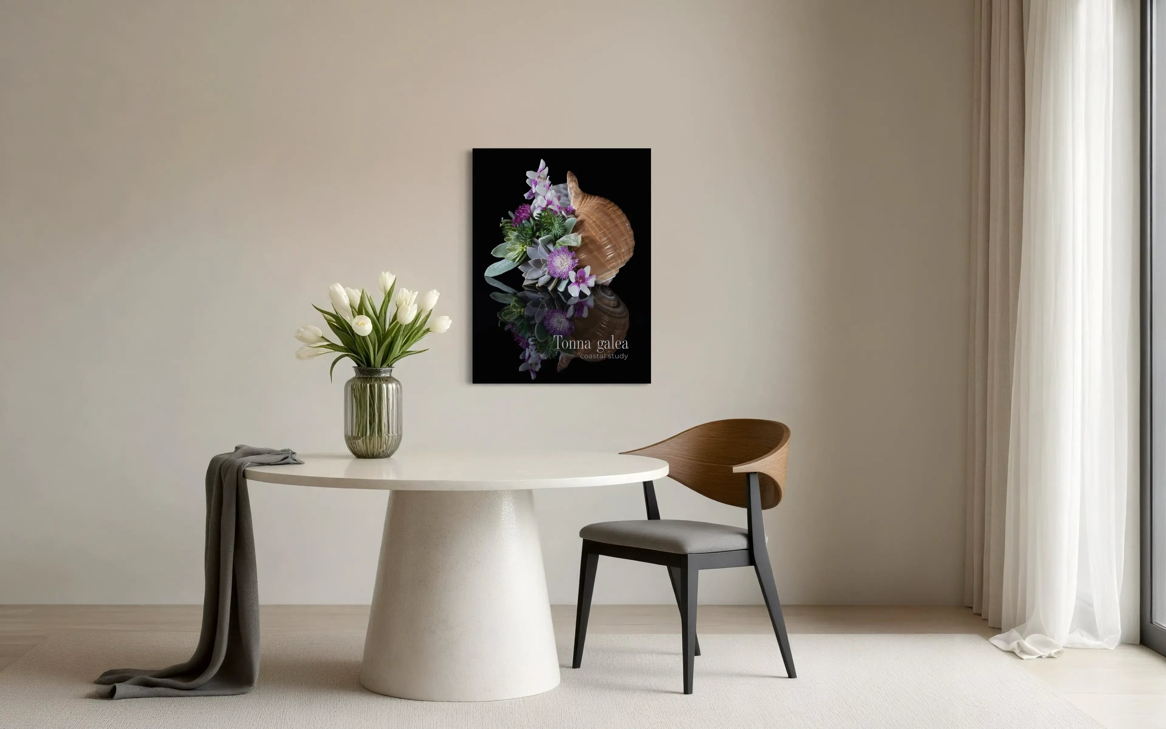 Tonna shell succulent wall art displayed above a modern dining table in a minimal coastal interior.