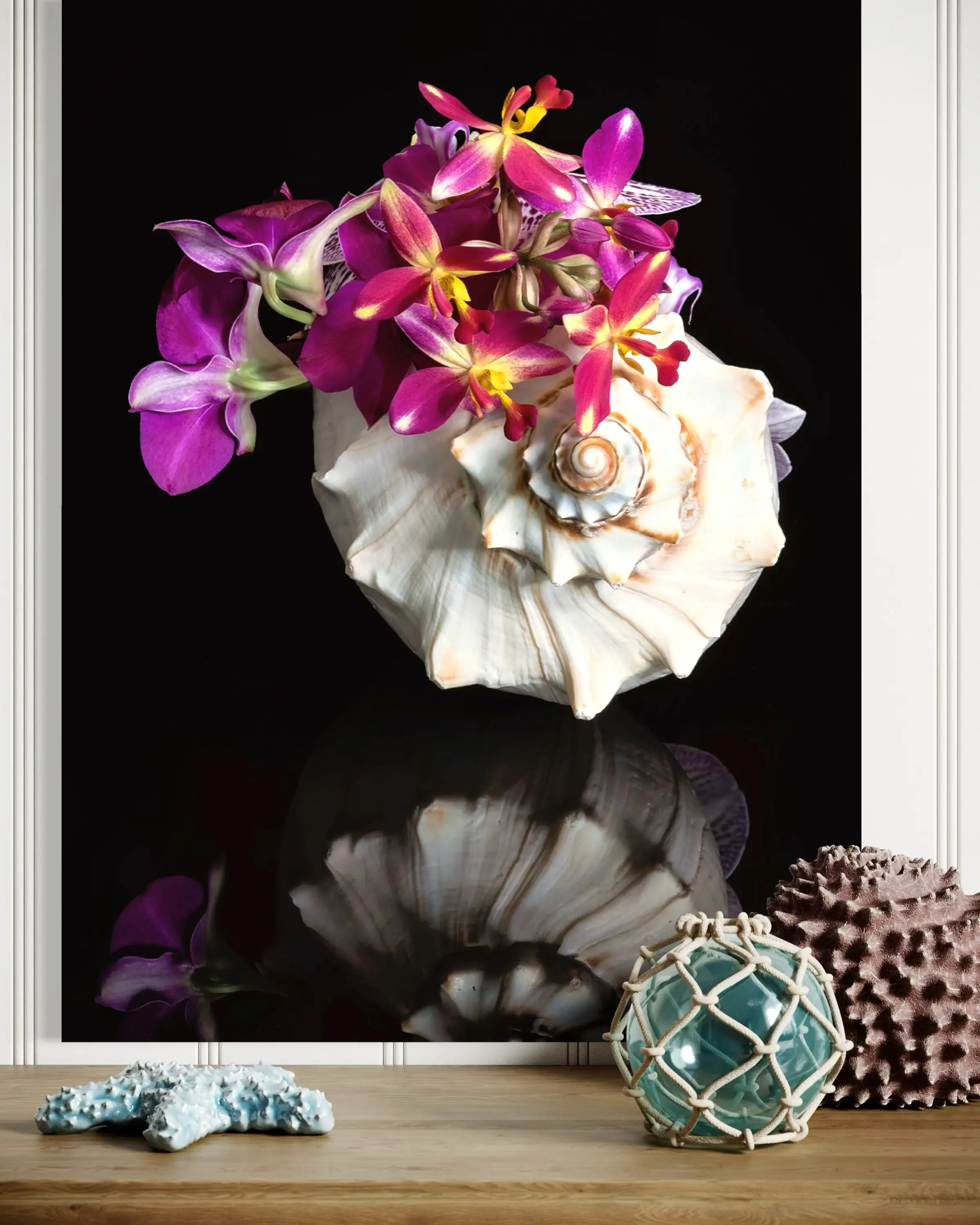 Coastal glass print of a triton shell filled with colorful orchids on a black reflective surface, coastal decor