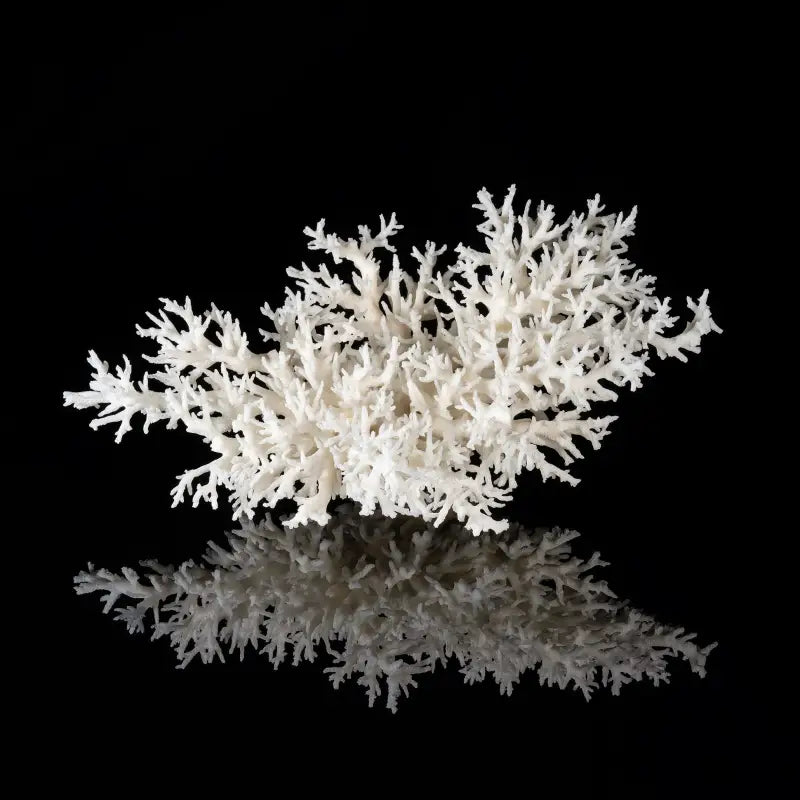Vintage Bird’s Nest Coral Mini Glass Art, eco-friendly ocean decor, marine life print
