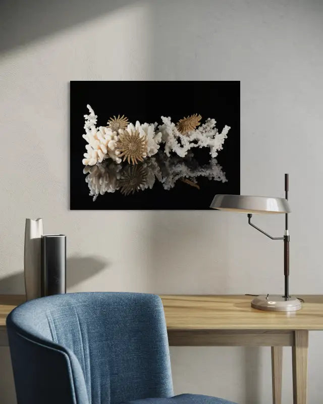 Coastal glass print of white coral and sun starfish on black reflective background-wall decor.