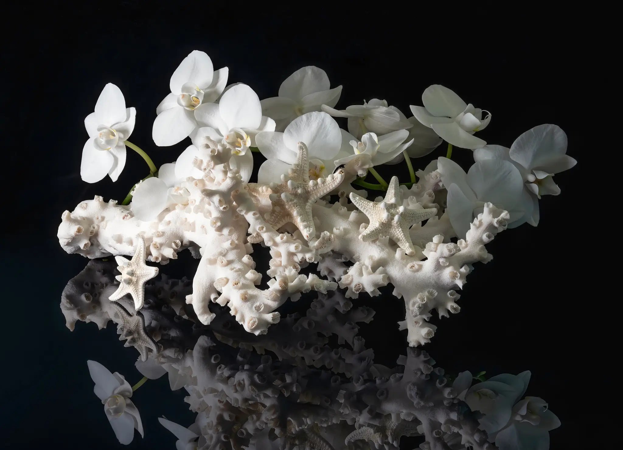 White coral and starfish with orchids, coastal glass art