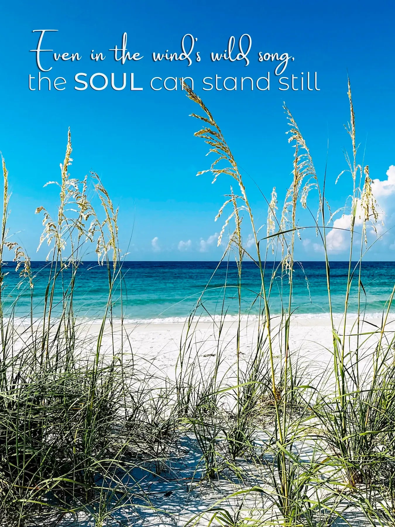 Coastal glass print of a beach scene looking through the sea oats to emerald waters, the quote "Even in the wind's wild song, the soul can stand still"