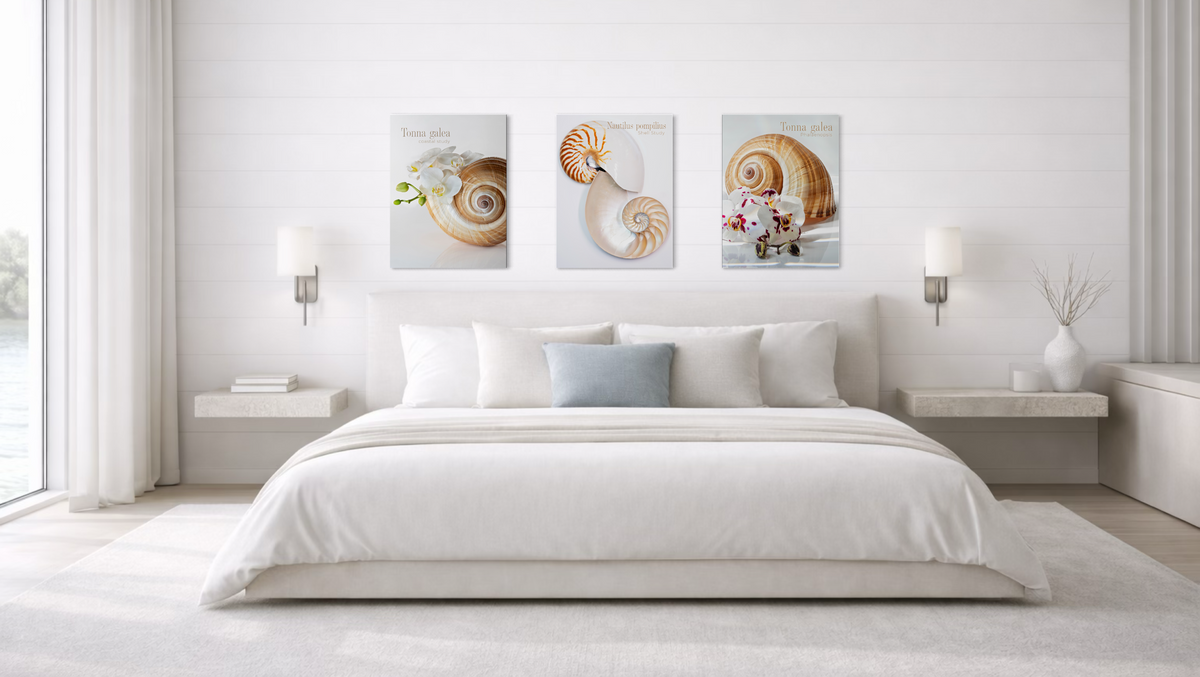 Modern coastal bedroom featuring three shell study and botanical glass posters above a white bed in a bright, minimal interior.