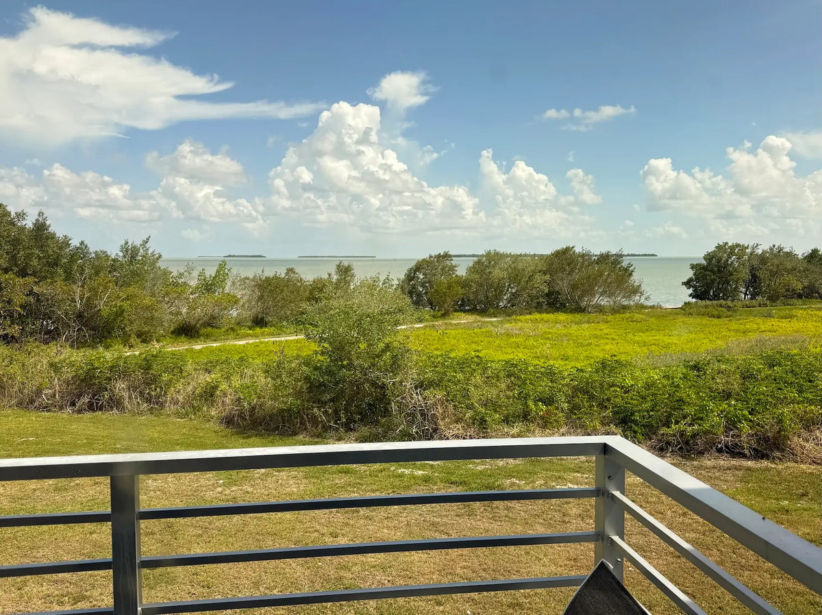 everglades-air-plants-on-cypress